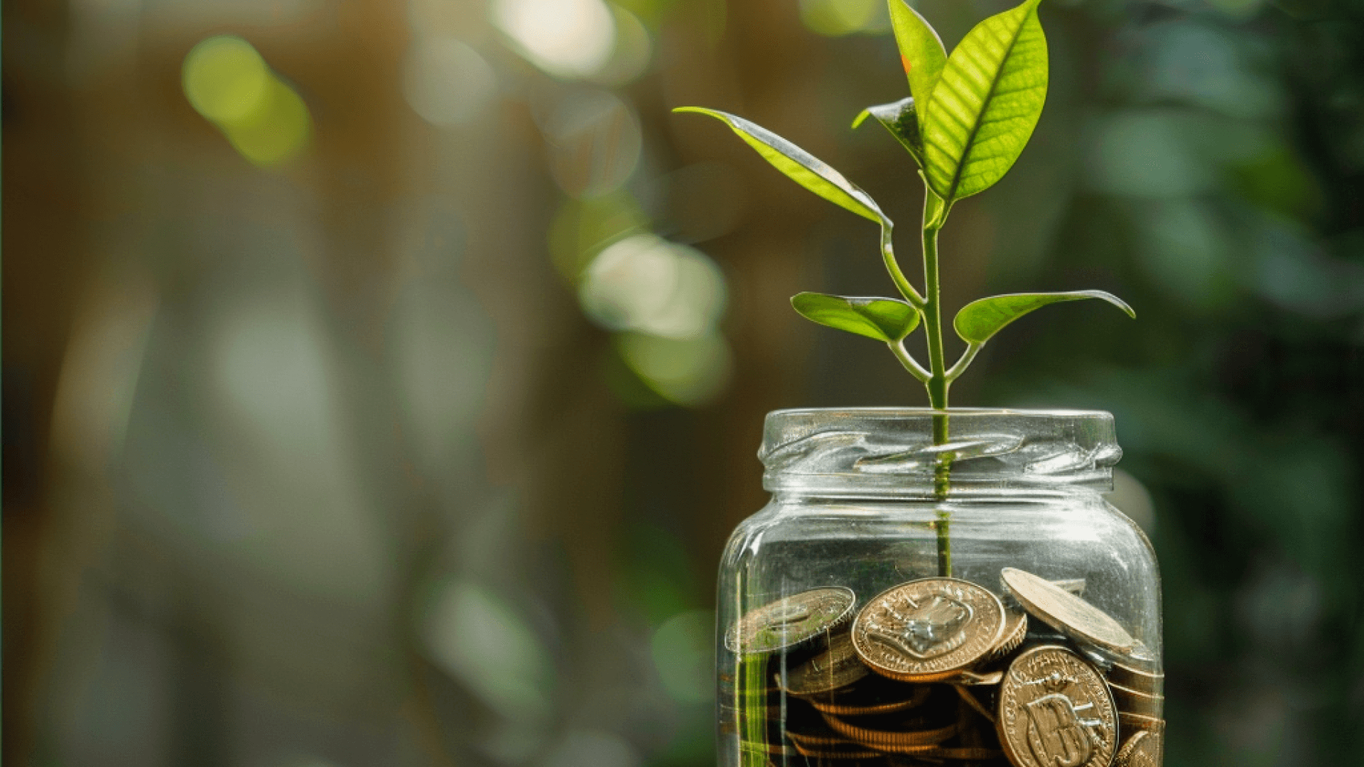 Life After Bankruptcy: Practical Tips for Financial Rebuilding and Resilience