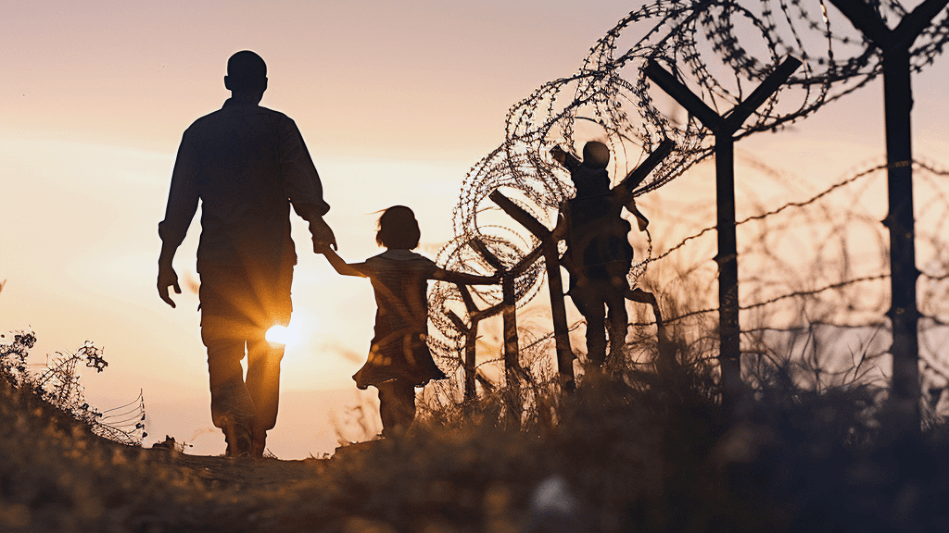 Immigration Law and Asylum Seekers' Rights: Navigating the Legal Complexities